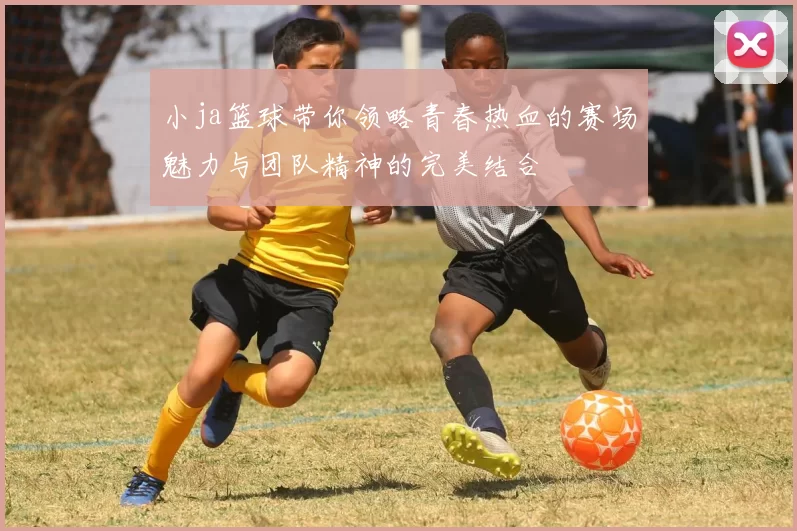 小ja篮球带你领略青春热血的赛场魅力与团队精神的完美结合