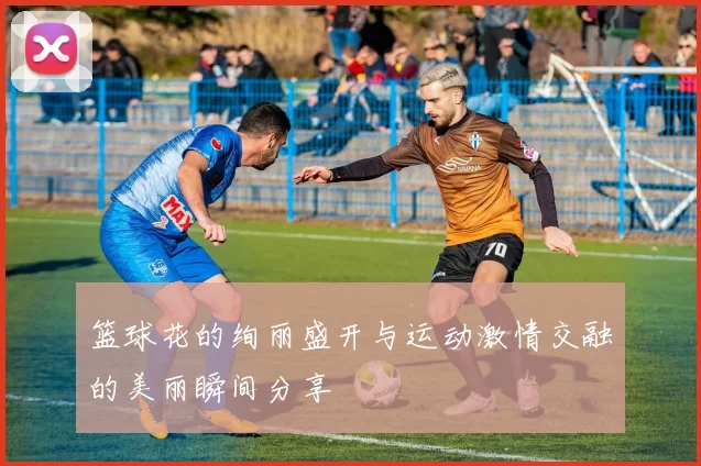 篮球花的绚丽盛开与运动激情交融的美丽瞬间分享