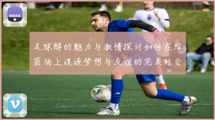 足球醇的魅力与激情探讨如何在绿茵场上追逐梦想与友谊的完美结合