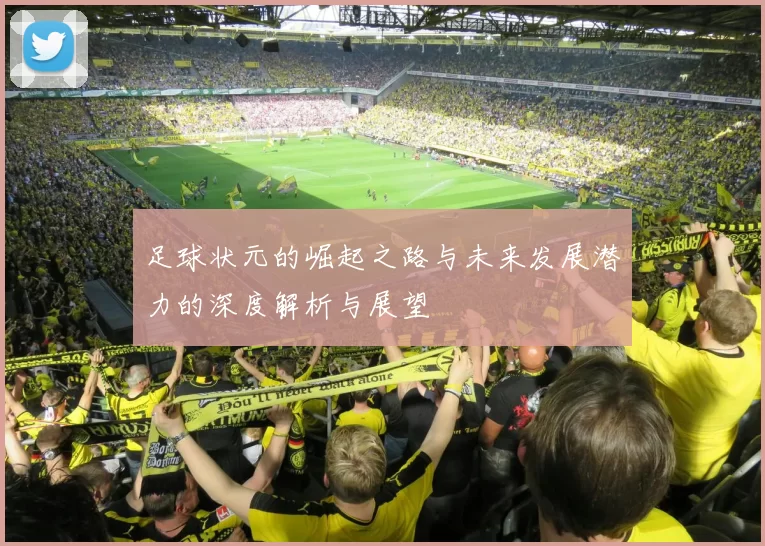 足球状元的崛起之路与未来发展潜力的深度解析与展望