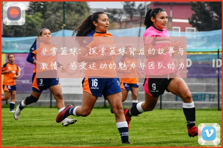 非常篮球：探索篮球背后的故事与激情，感受运动的魅力与团队的力量