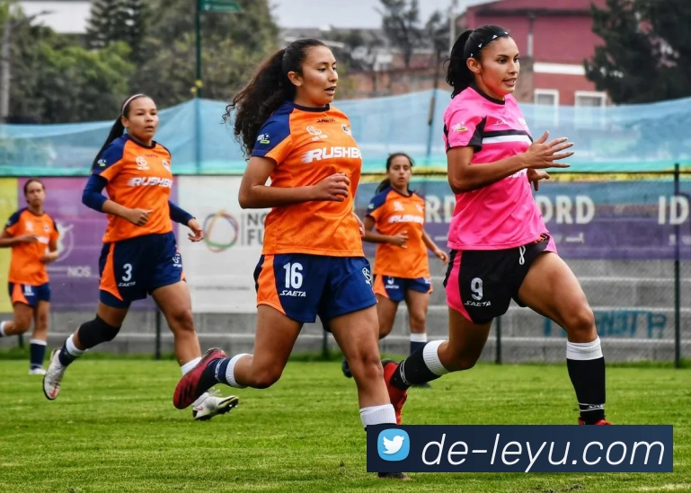 乐鱼app平台生态图